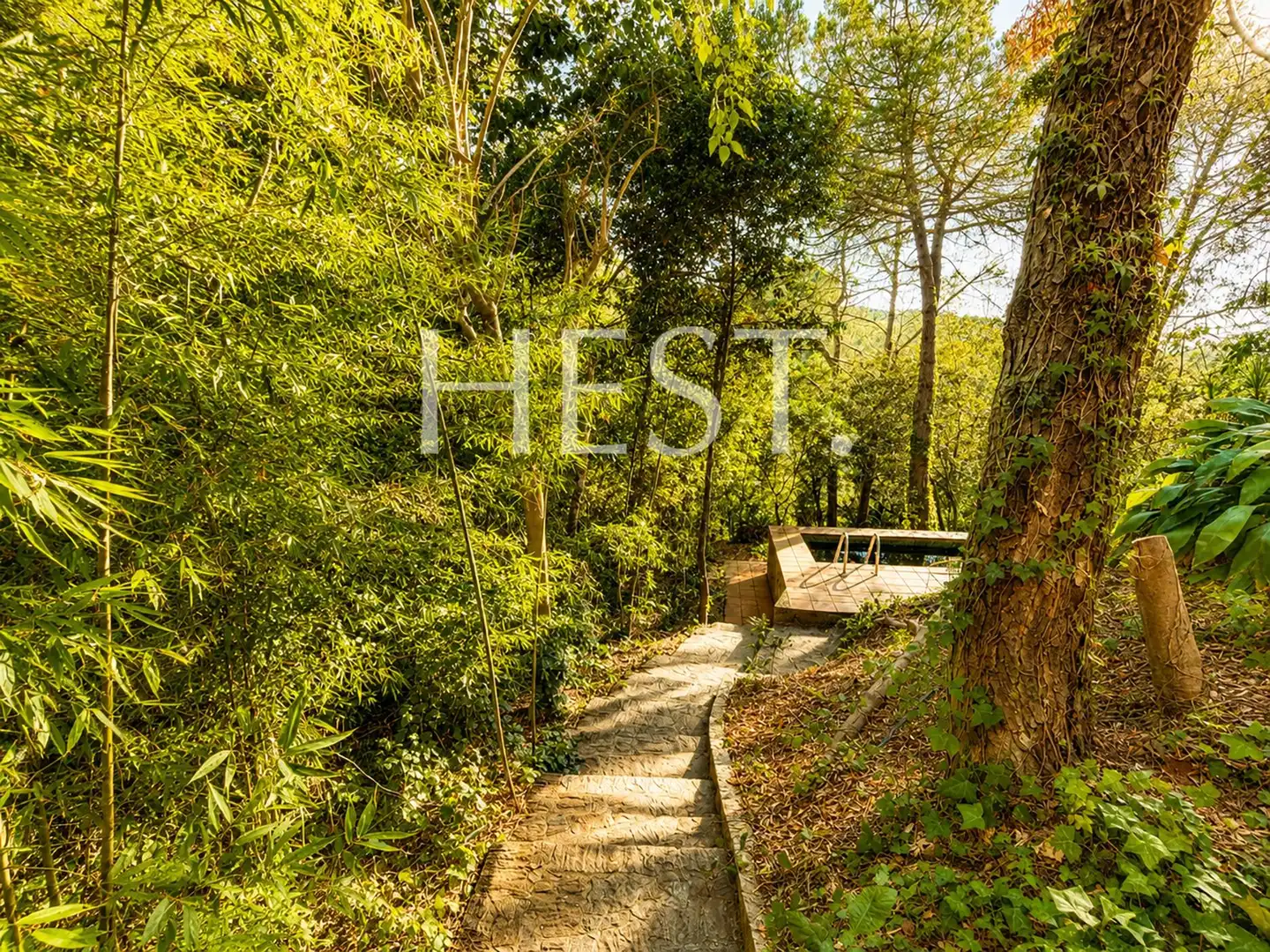 Chalet con piscina en venta en Carrer Ginestera, imagen 57