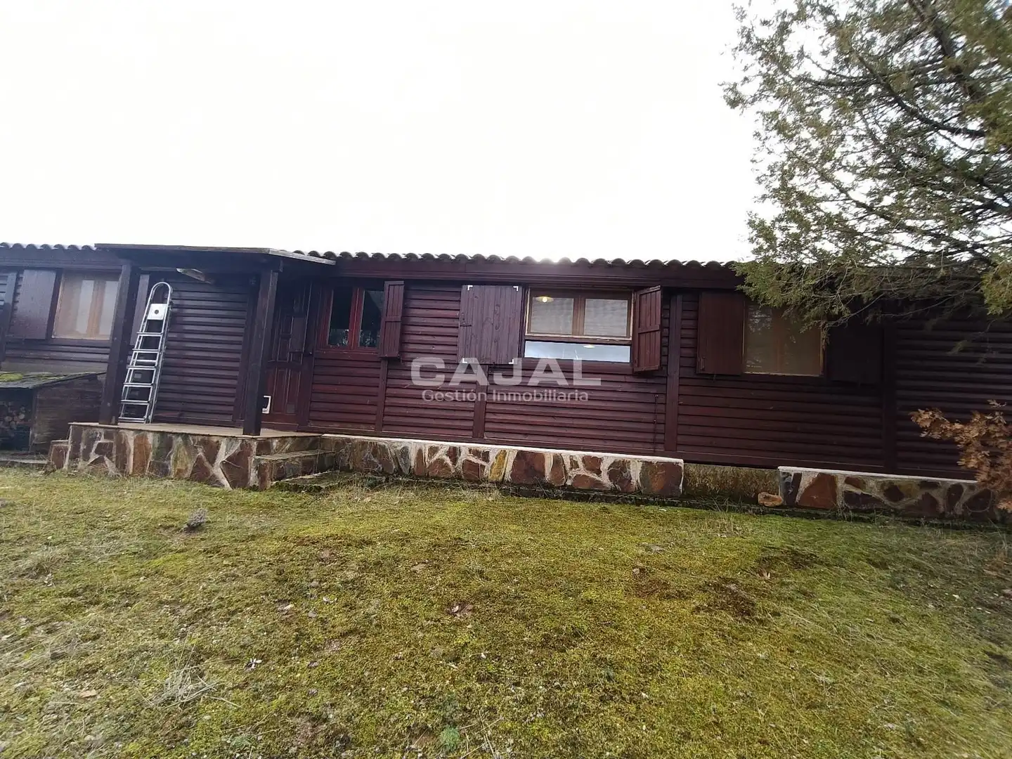 Jardín de Casa o chalet en venta en Castillejo de Mesleón con Calefacción