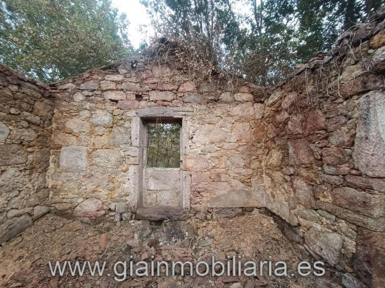 Terreni e lotti in vendita a Calle Gulans, imagen 13