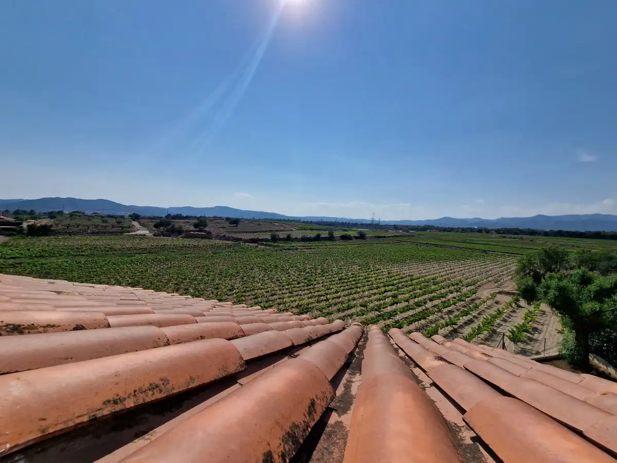Vista exterior de Casa adosada en venda en Banyeres del Penedès amb Calefacció, Jardí privat i Terrassa
