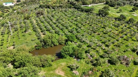 Photo 3 of Country house for sale in Gaucín, Málaga