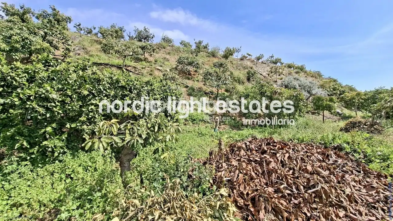 Casa en venta en Vélez-Málaga ciudad, imagen 30