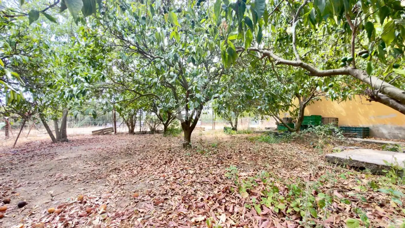 Maison rustique à vendre à Jimena de la Frontera, imagen 9