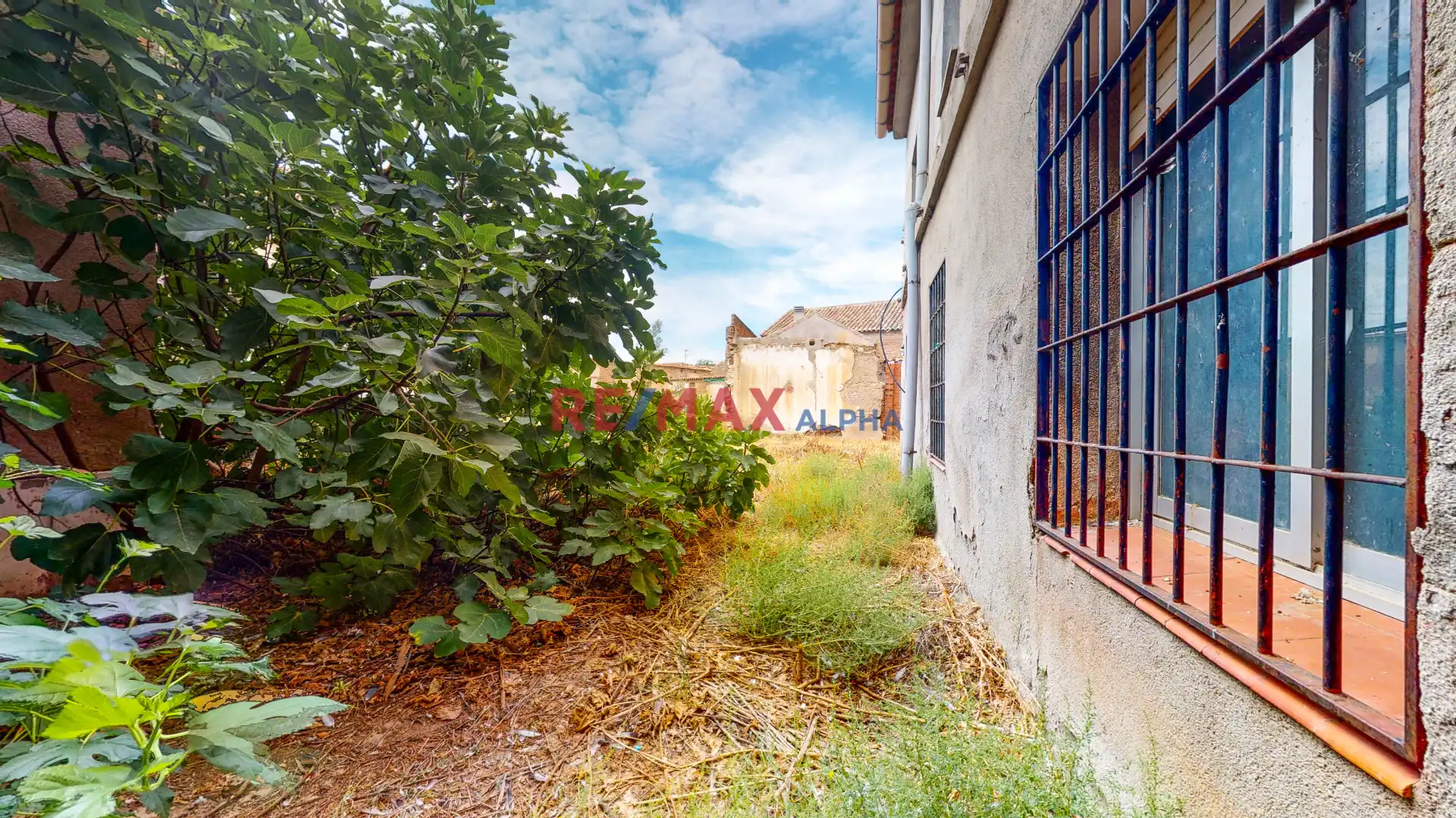 Finca rústica en venda en Domingo Pérez amb Jardí privat