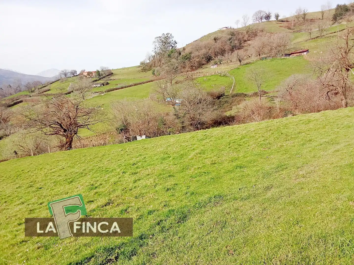 Residencial en venda en Oviedo 
