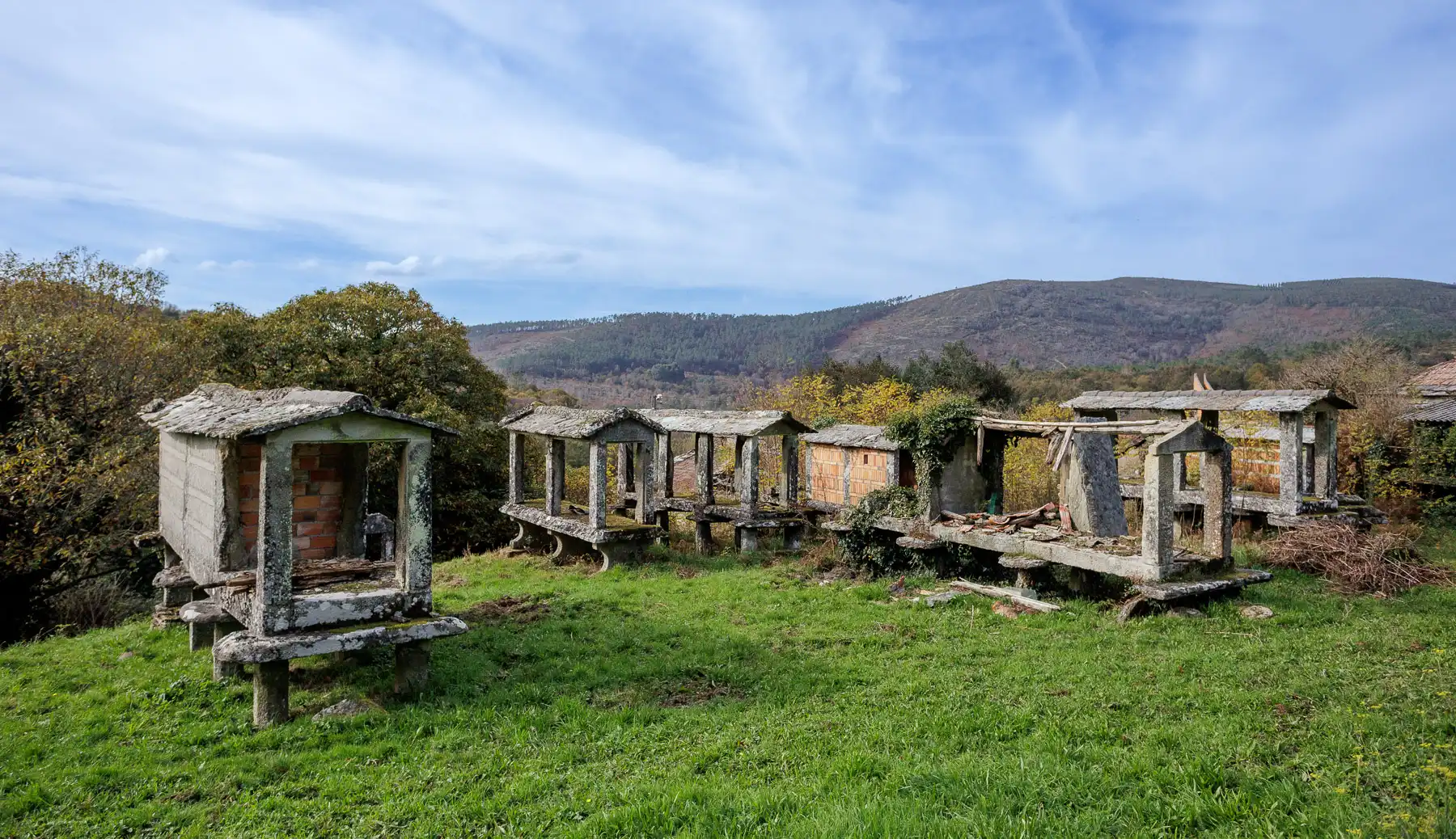 Vista exterior de Finca rústica en venta en Beariz