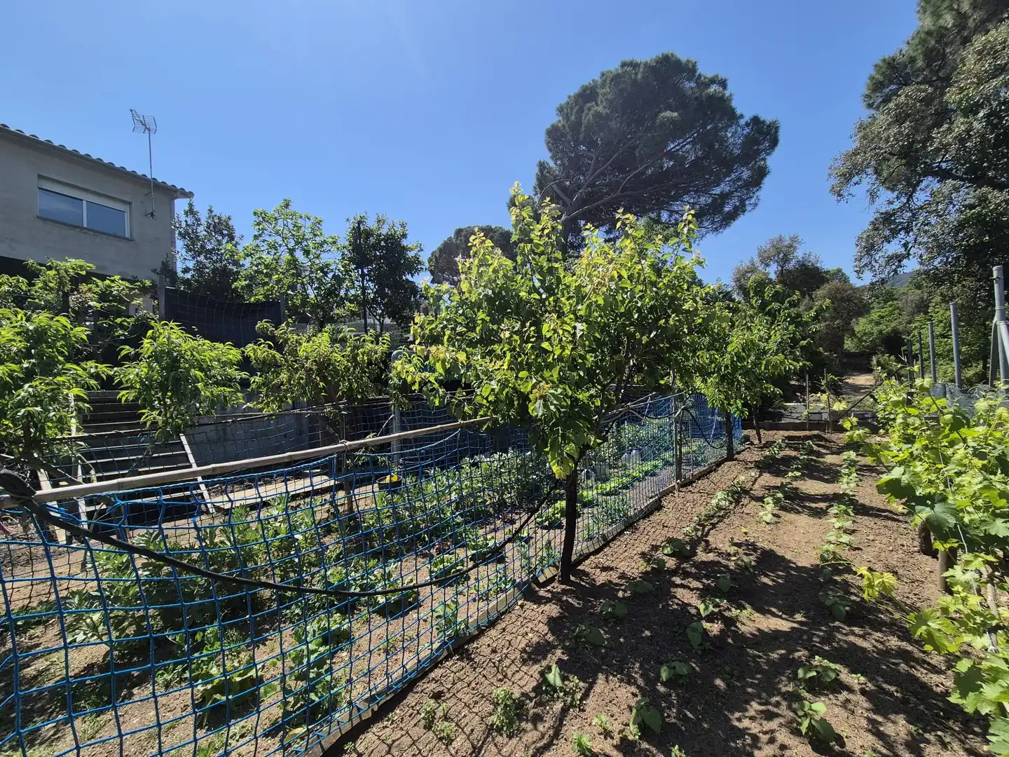 Garden of Houses for sale in Tordera  with Heating, Private garden and Terrace