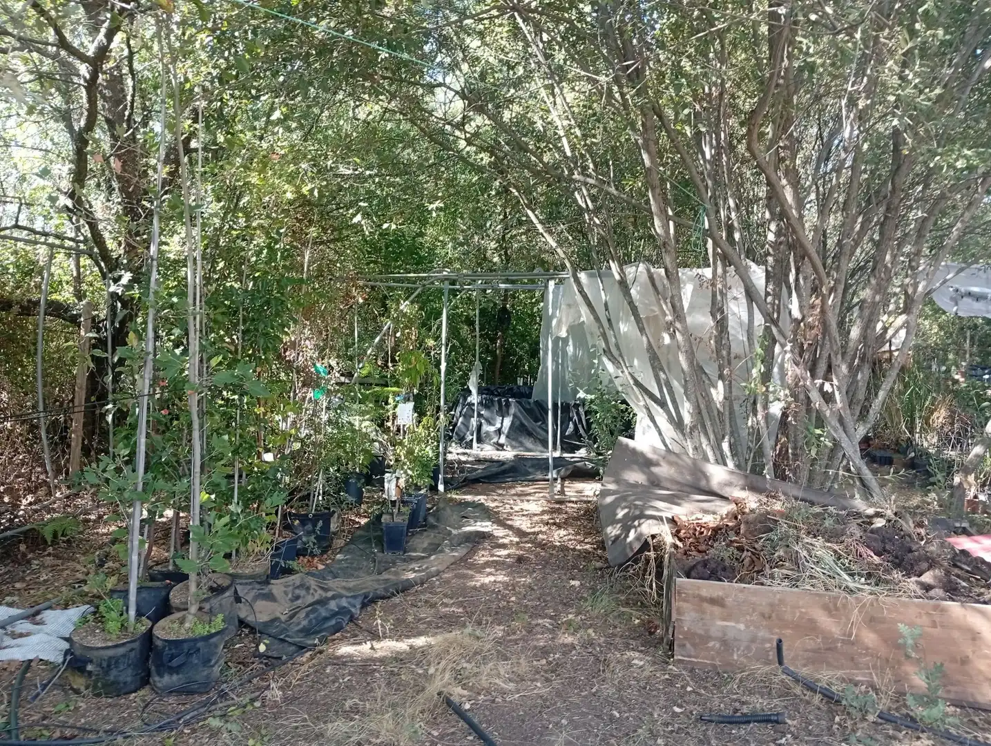 Terrain rustique à vendre à Villanueva de la Vera, imagen 11