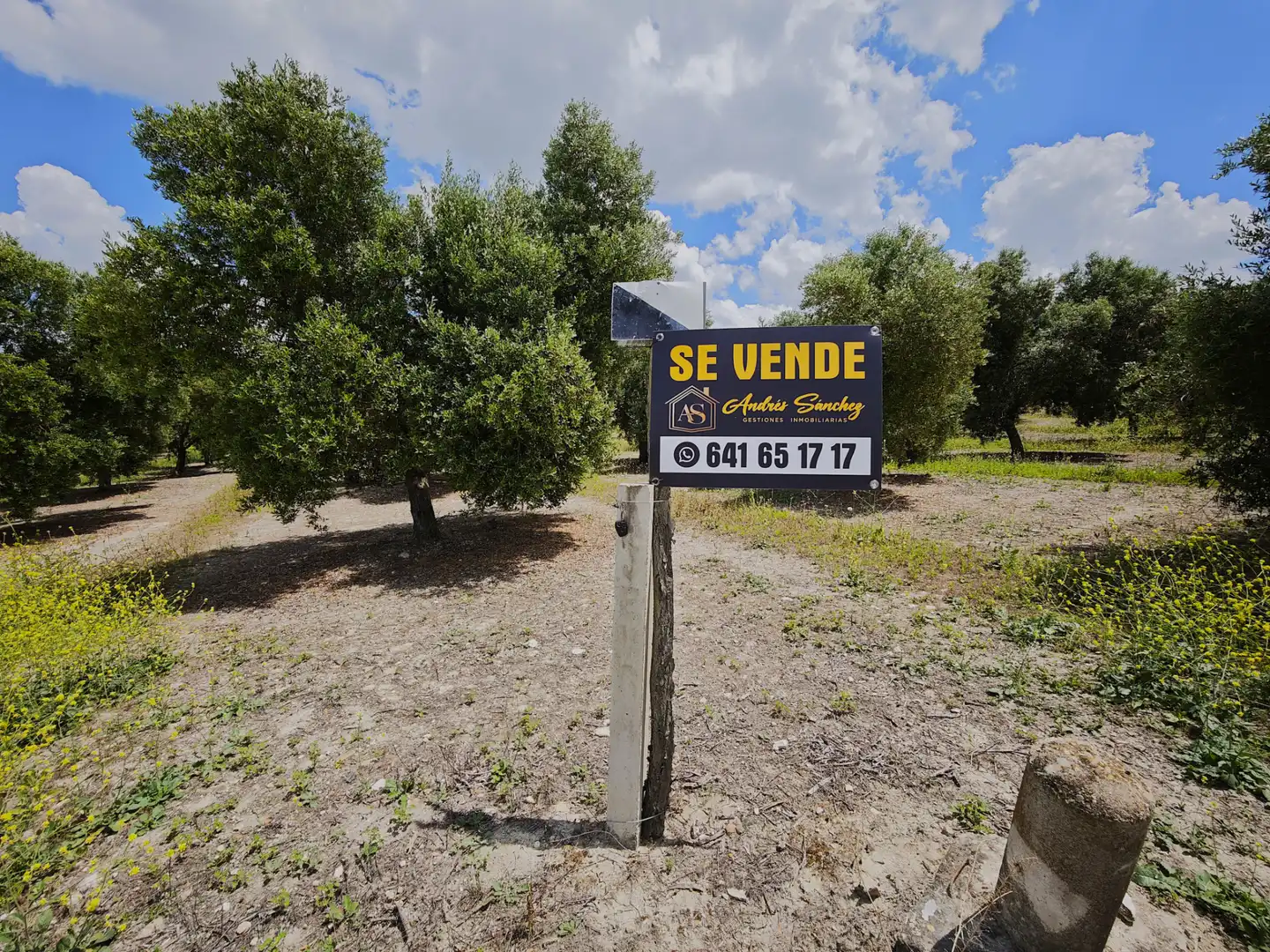 Terrenys i solars en venda a El Rocío - La Milagrosa