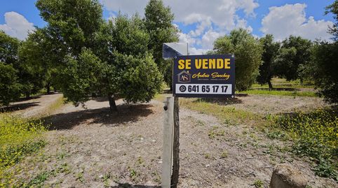 2 Parcelas de cultivo juntas en Nueva Jarilla