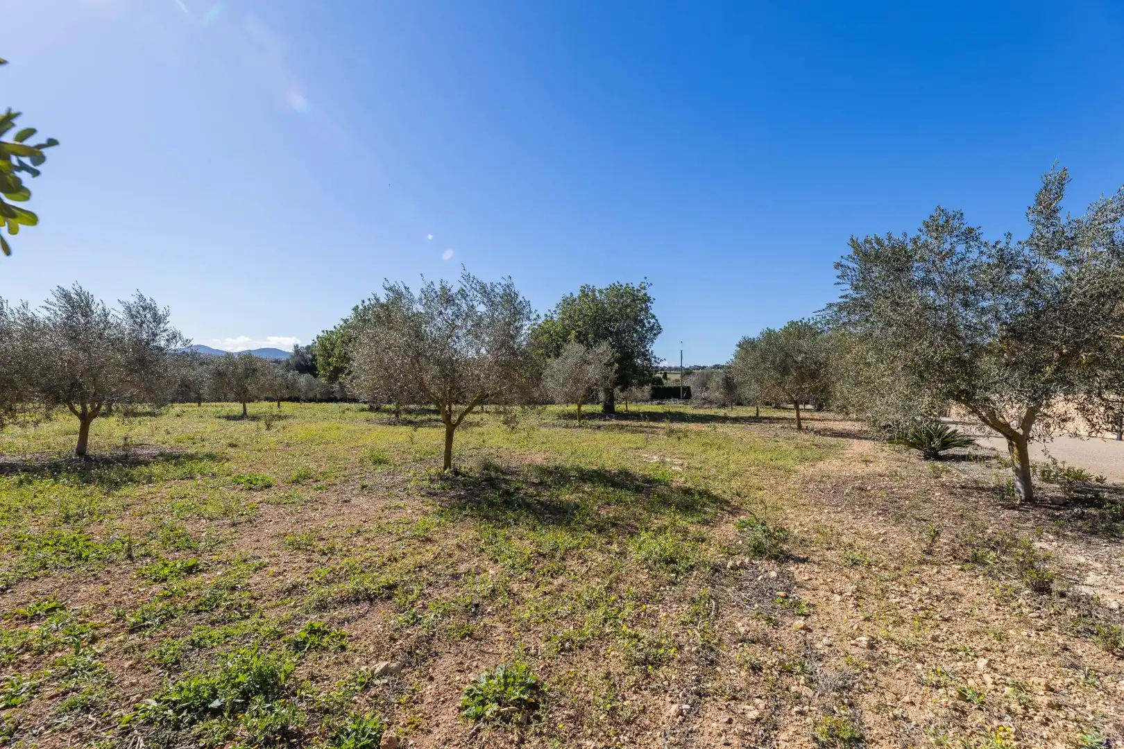 Haus oder Chalet zum Verkauf in Manacor mit Klimaanlage, Privatgarten und Terrasse
