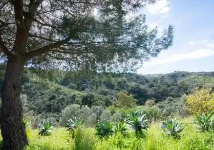 Jardín de Casa o chalet en venta en La Cala Golf - Lagar Martell