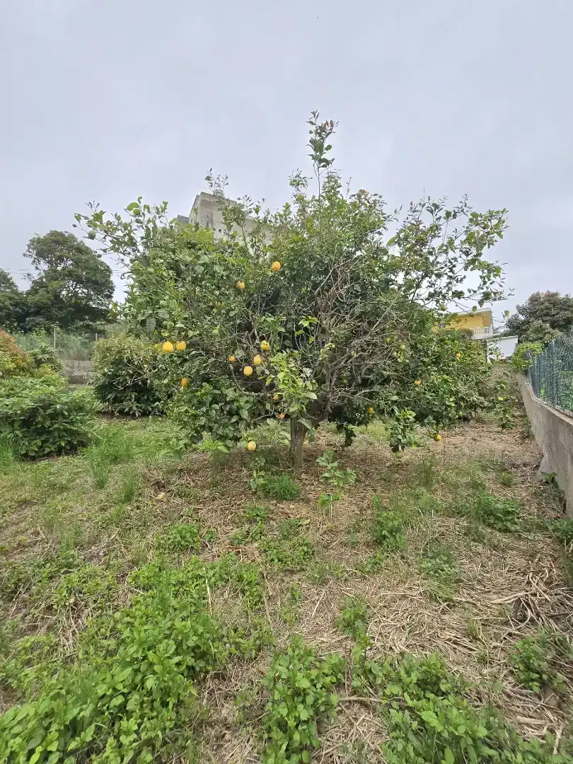 Casa o xalet en venda en Tacoronte amb Balcó