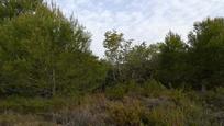 Land for sale in Estivella
