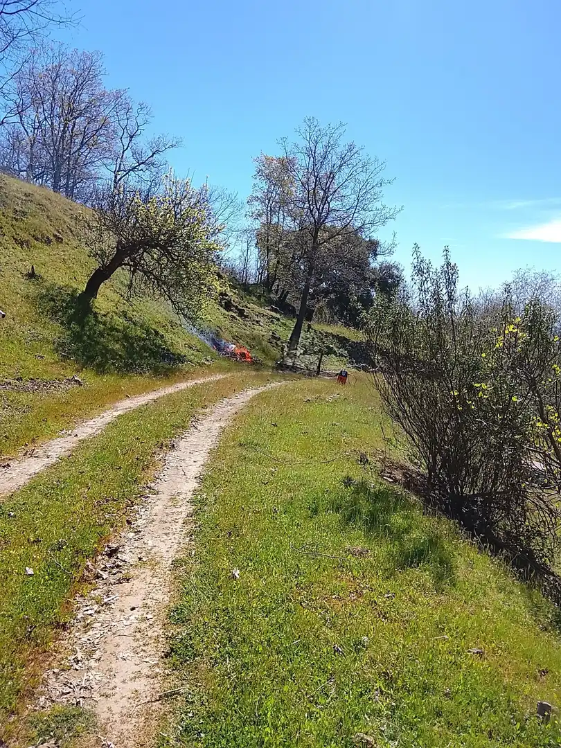 Terreni e lotti in vendita a Candeleda, imagen 28