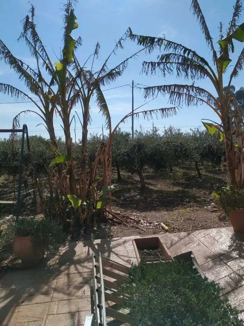 Finca rústica en venda en La Ràpita amb Aire condicionat, Calefacció i Jardí privat