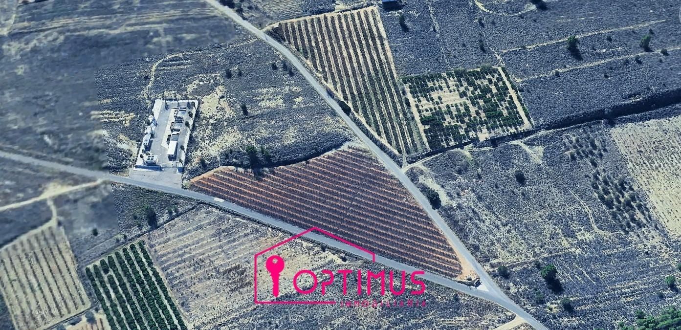 Land for sale in Turís