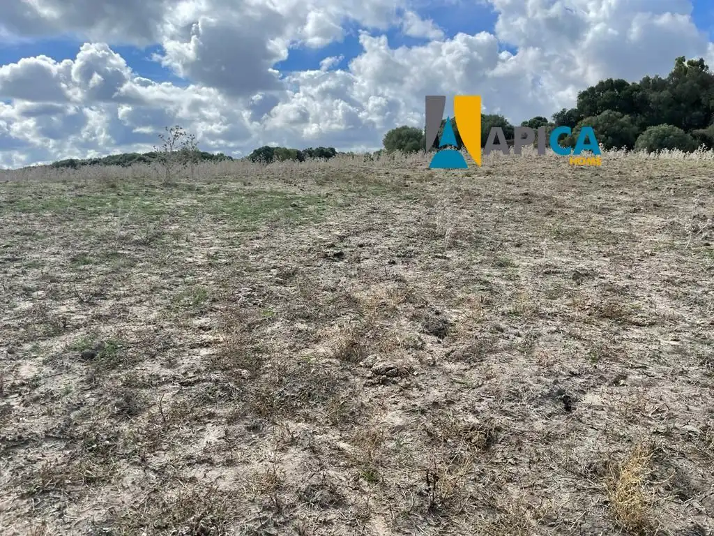 Terrain rustique à vendre à Vejer, imagen 6