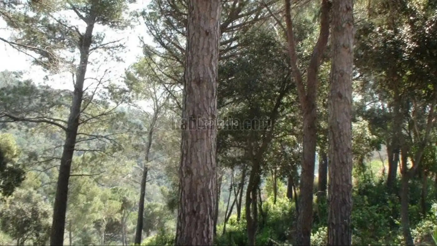 Wohnbaugrundstück zum Verkauf in Carrer de la Pedra 49, imagen 2