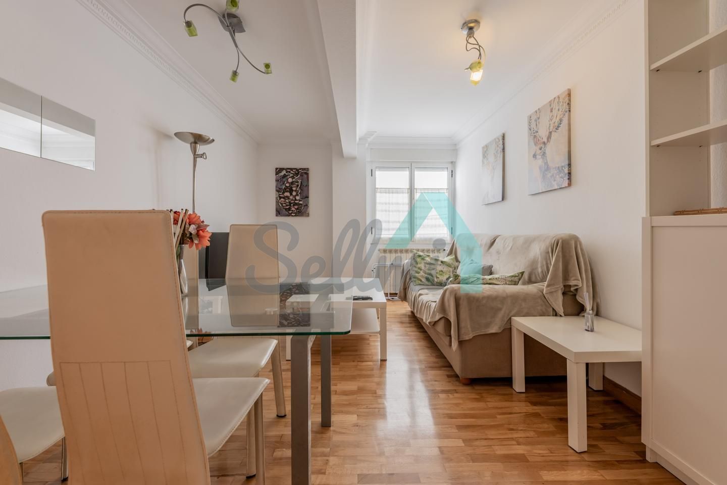 Pis per a compartir a Escultor Laviada, Vallobín