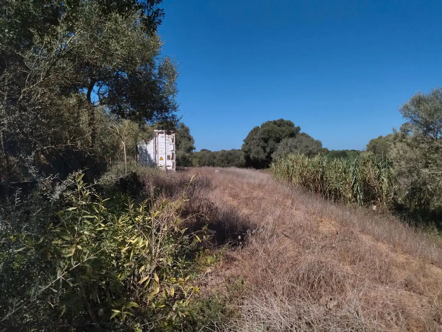 Terreno en venta en Vejer de la Frontera