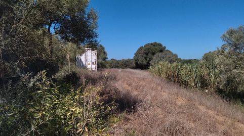 Foto 2 de Terreno en venta en N/a, -1, Vejer, Vejer de la Frontera