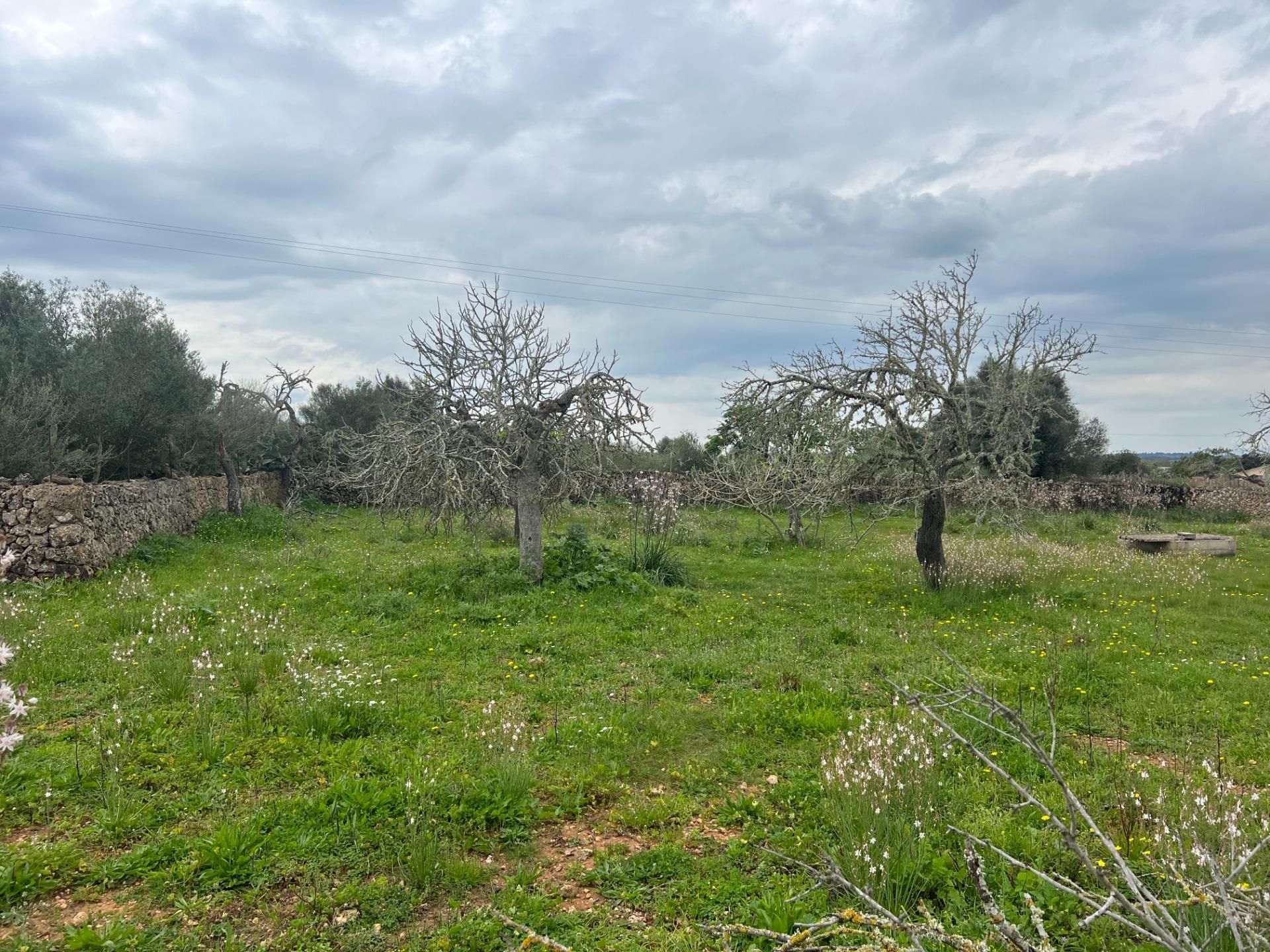 Country house for sale in Santa Margalida