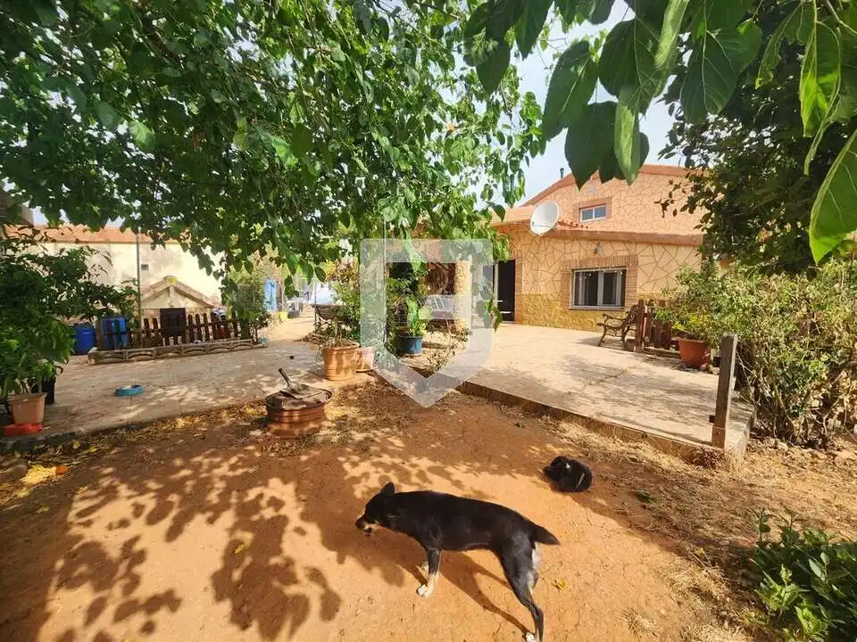 Jardí de Casa o xalet en venda en Vilafamés amb Aire condicionat, Calefacció i Jardí privat