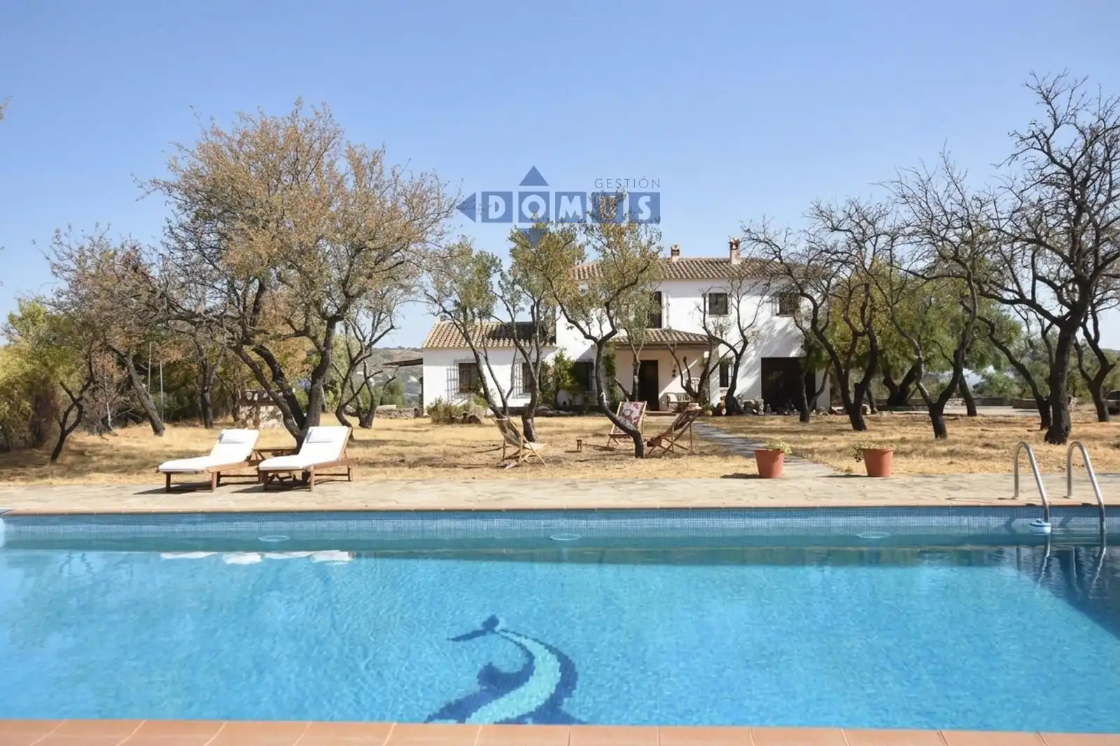 Piscina de Finca rústica en venta en Ronda con Calefacción, Jardín privado y Terraza