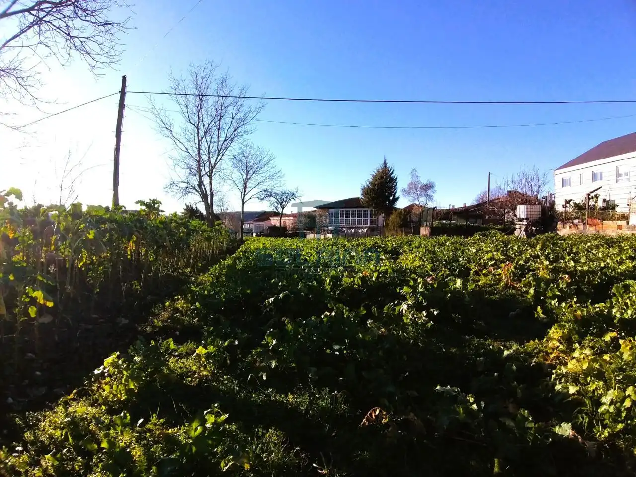 House with garden for sale in Xunqueira de Espadanedo, imagen 2