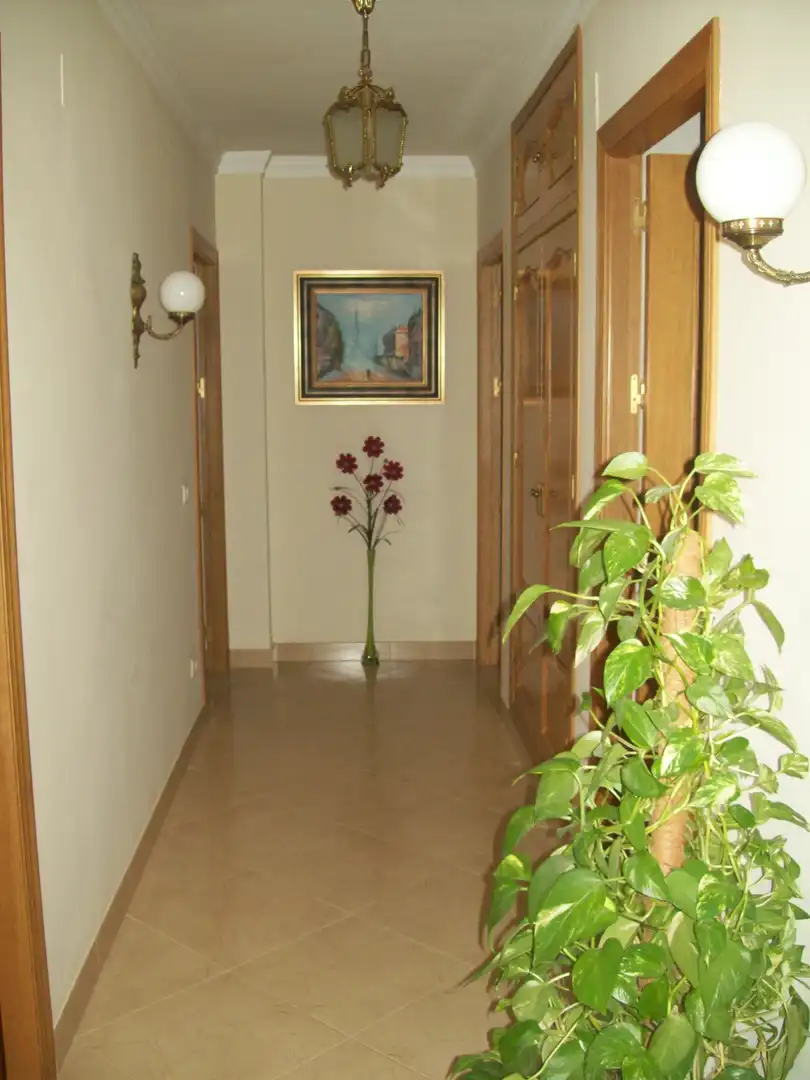 Appartamento con terrazza in vendita a La Carlota, imagen 2