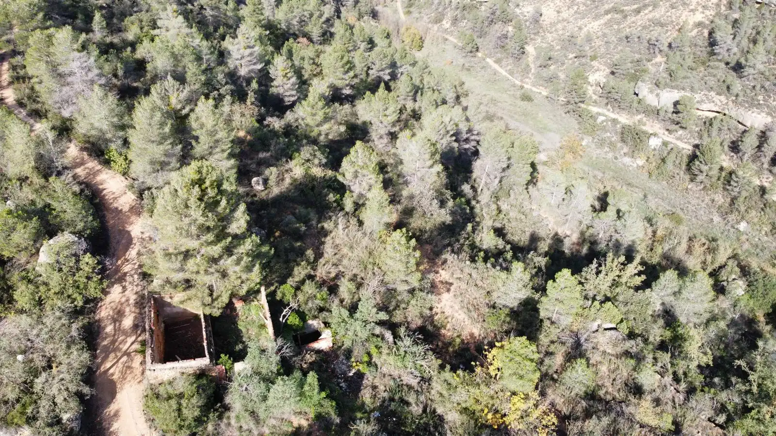 Terreno rustico in vendita a Cervià de Les Garrigues, imagen 10