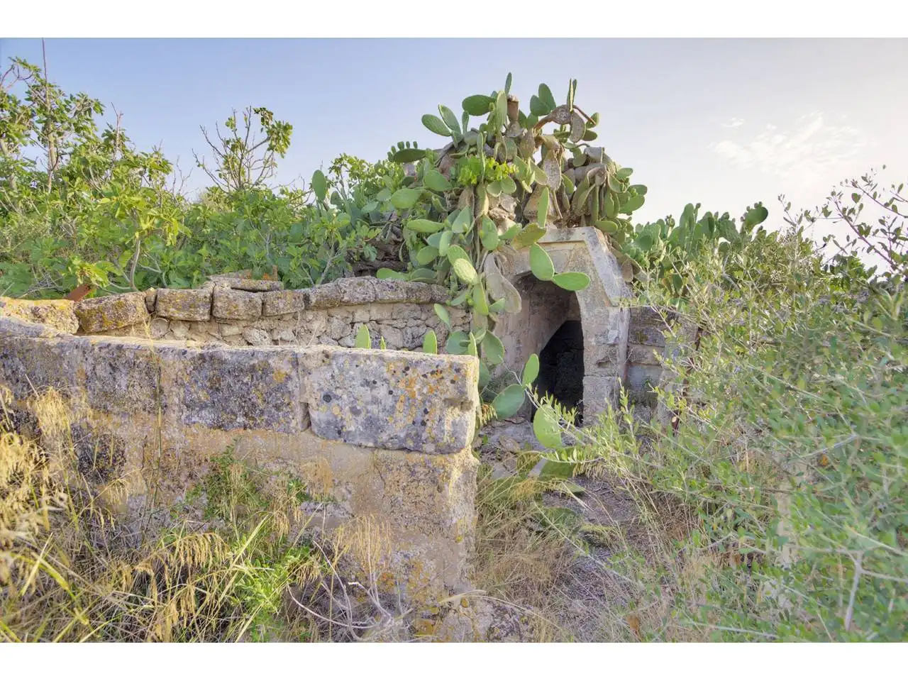 Rural land for sale in Ciutadella, imagen 11