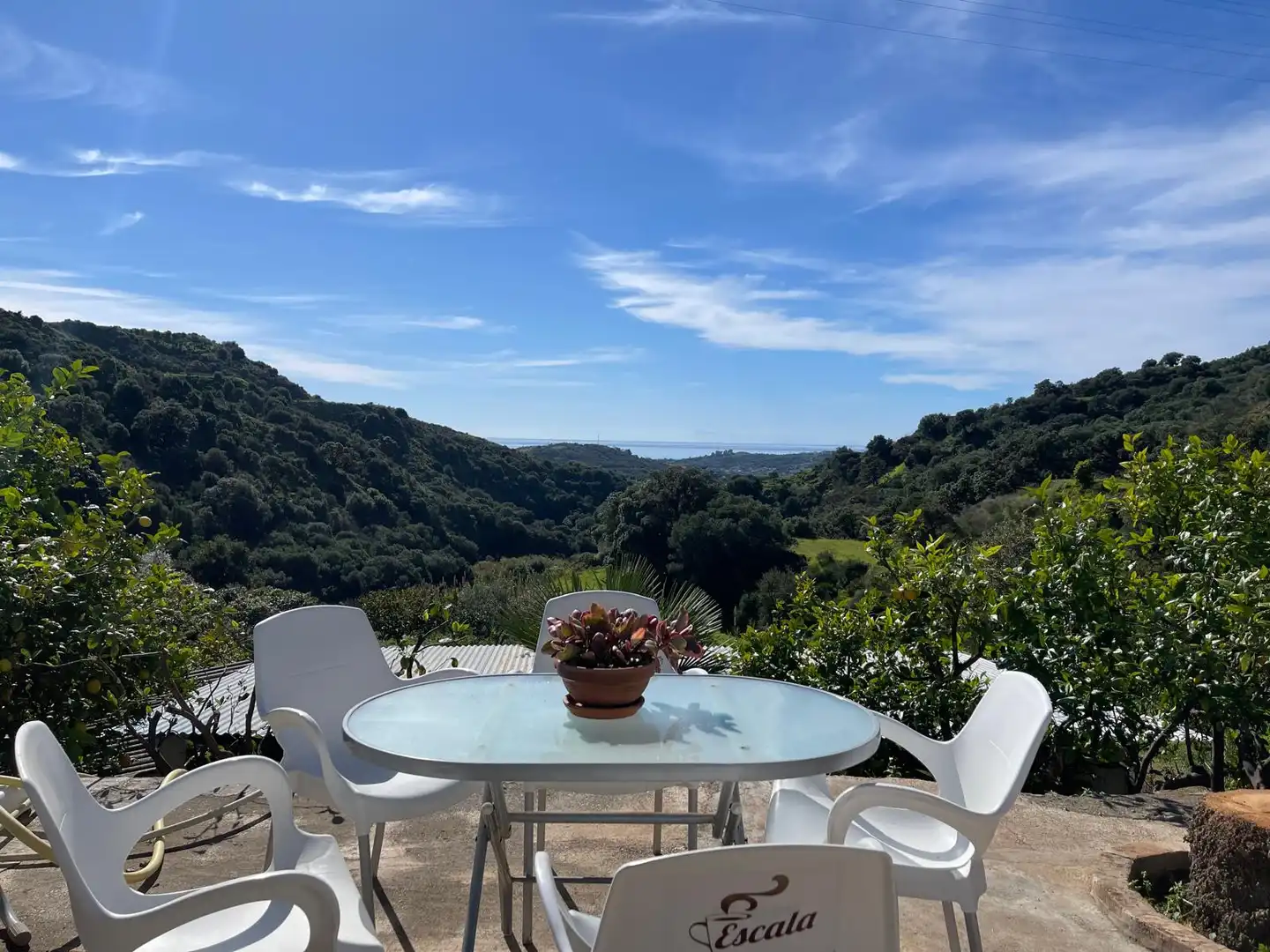 Finca rústica en venta en Altos de Estepona