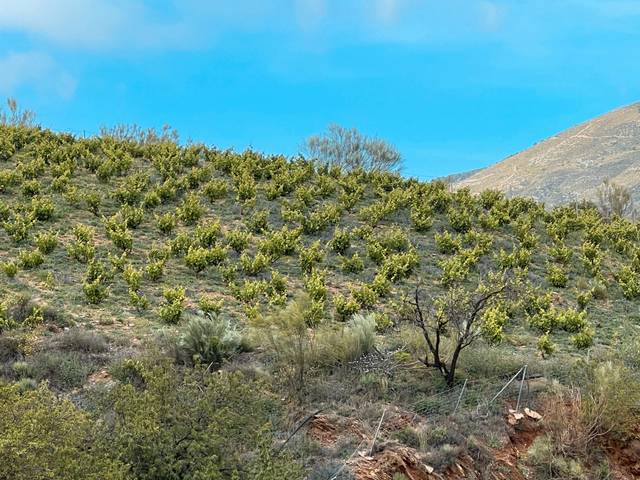 Terreno en Venta en Lújar