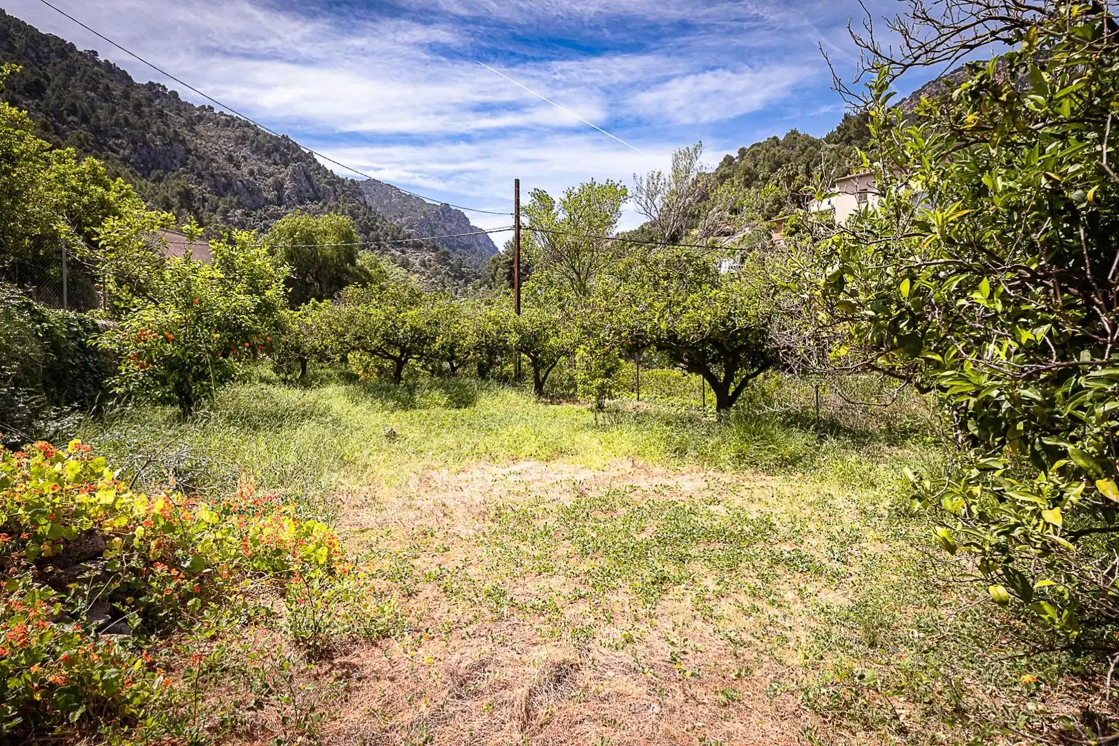 Finca rústica en venda en Sóller amb Terrassa