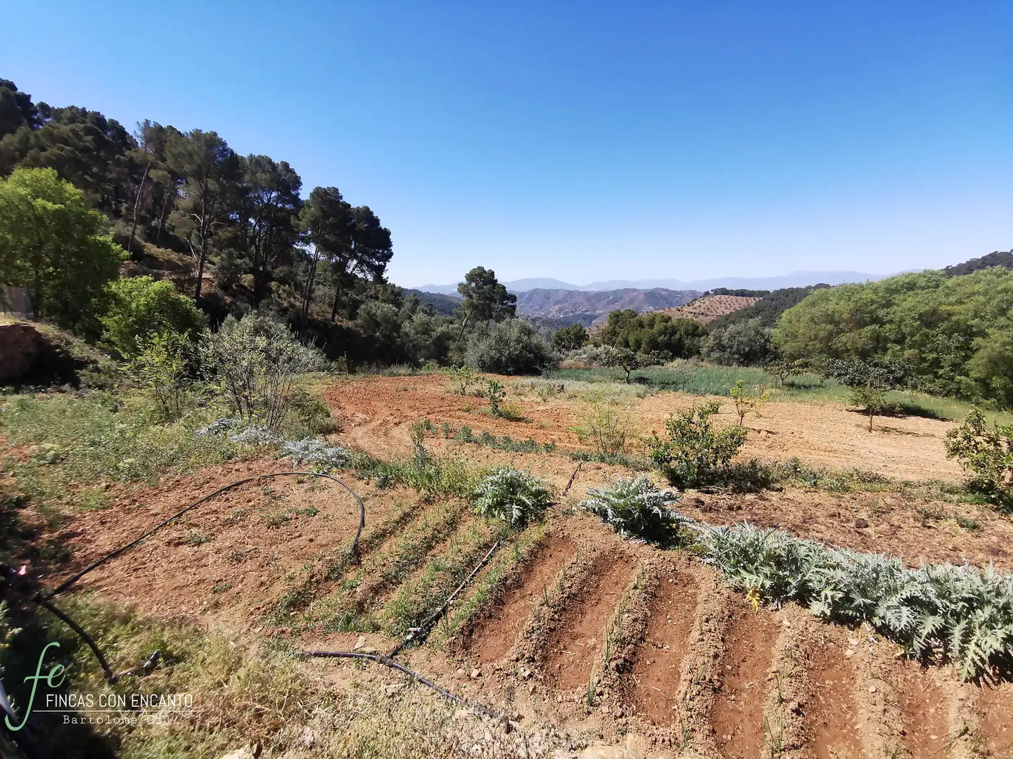 Finca rústica en venda en Málaga amb Calefacció, Jardí privat i Piscina