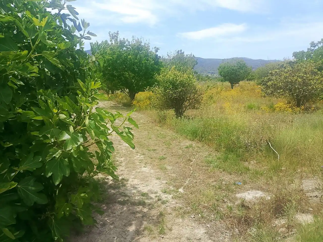 Land for sale in Bélgida