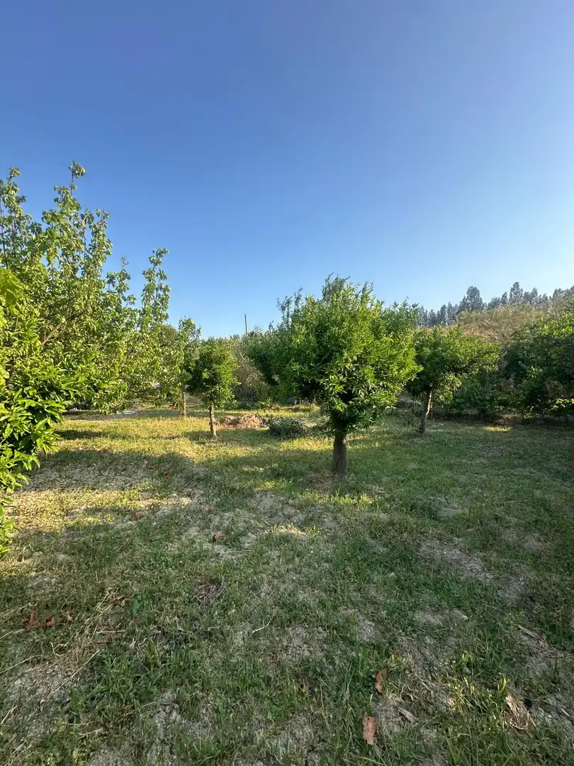 Finca rústica en venta en Olula del Río