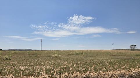 Photo 5 of Land for sale in Almansa, Albacete