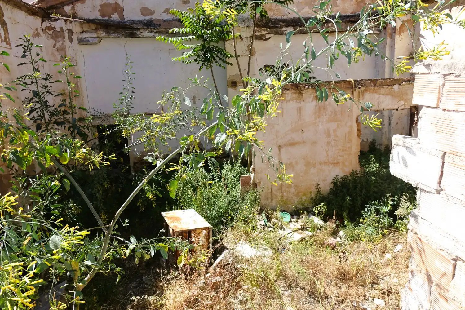Garten von Fabrik Grundstücke zum Verkauf in Órgiva
