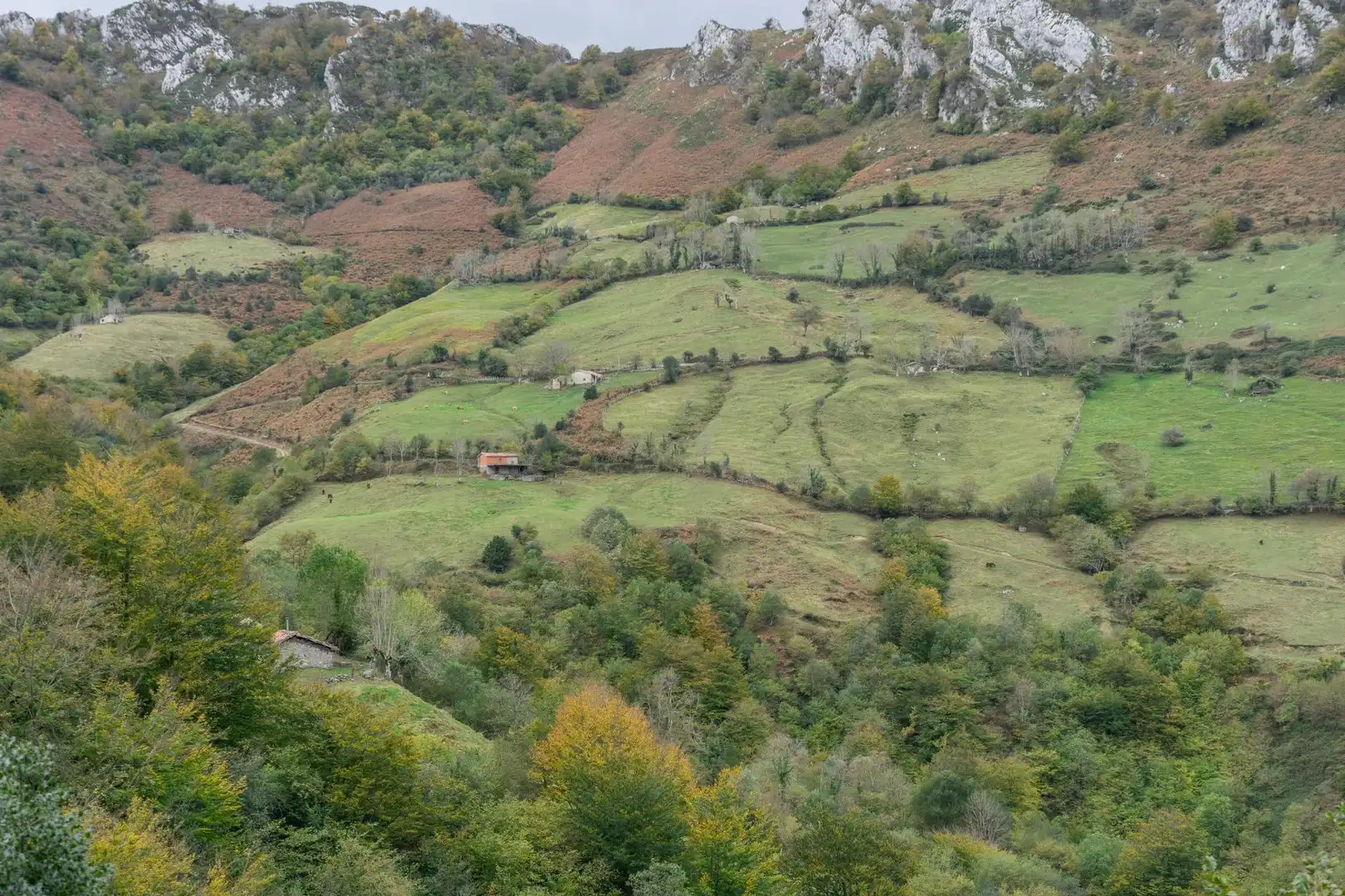 Grundstücke zum Verkauf in Laviana