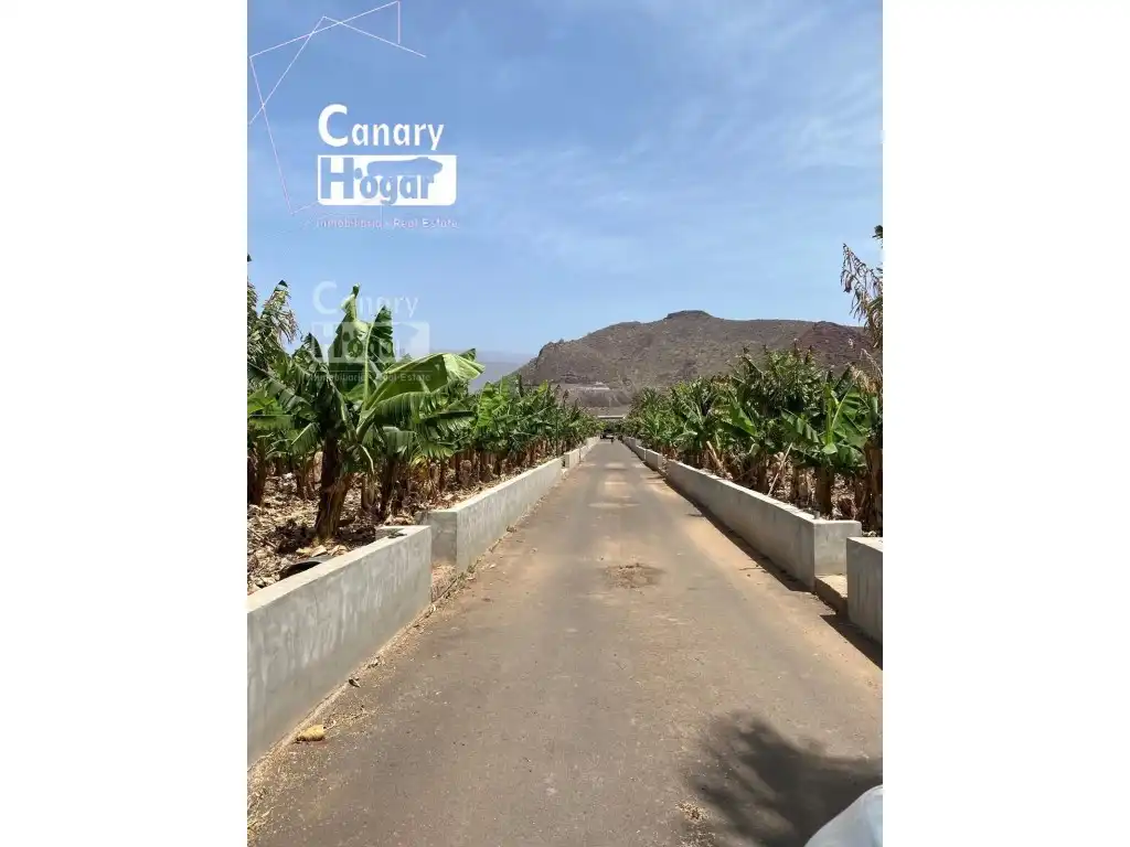 Exterior view of Country homes for sale in Arona  with Private garden and Swimming Pool