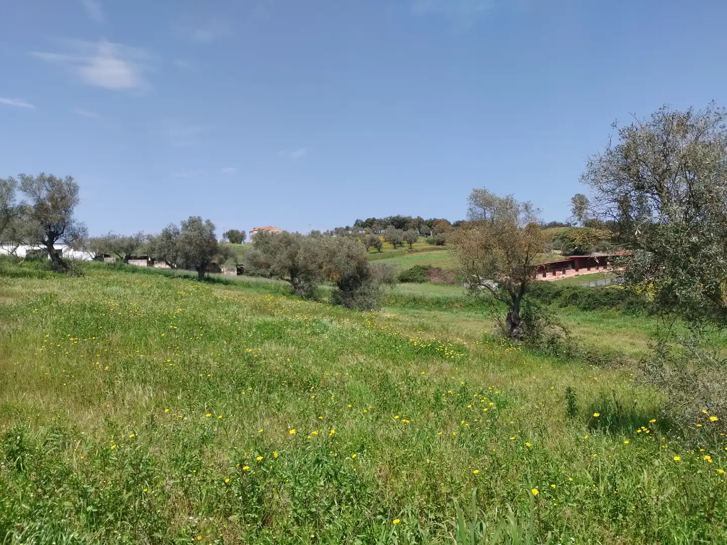 Terreno en venta en Oliva de la Frontera