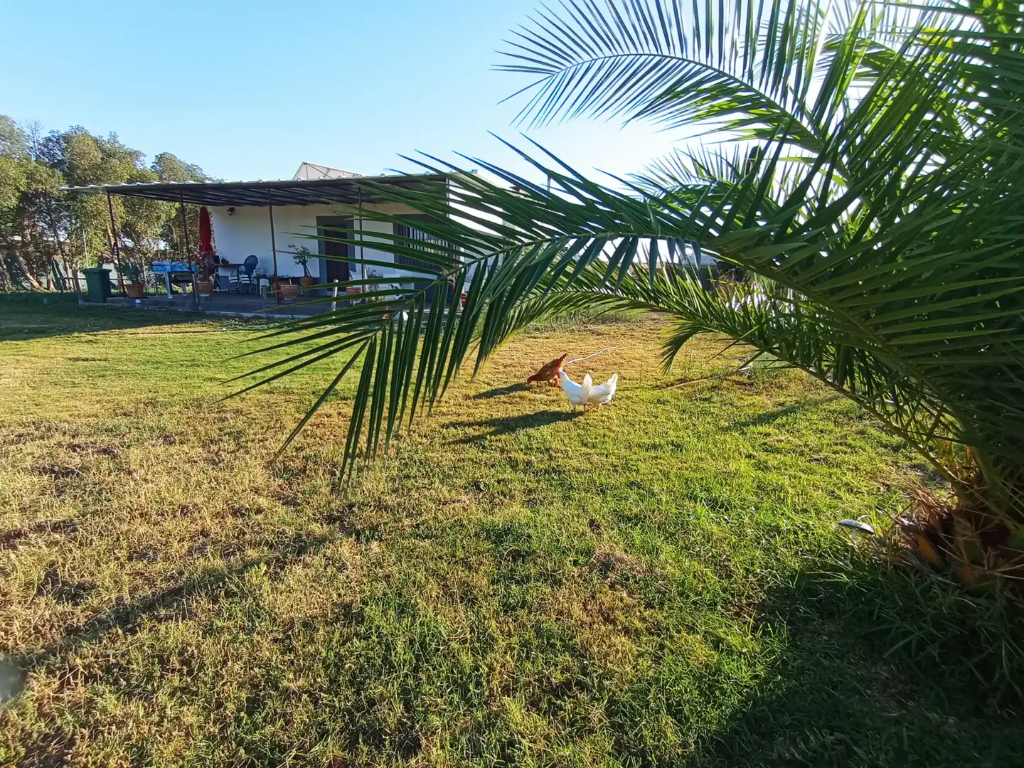 Jardín de Finca rústica en venta en Chipiona con Calefacción