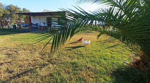 Foto 3 de Finca rústica en venta en Pago Llano, 5, Chipiona Norte, Chipiona