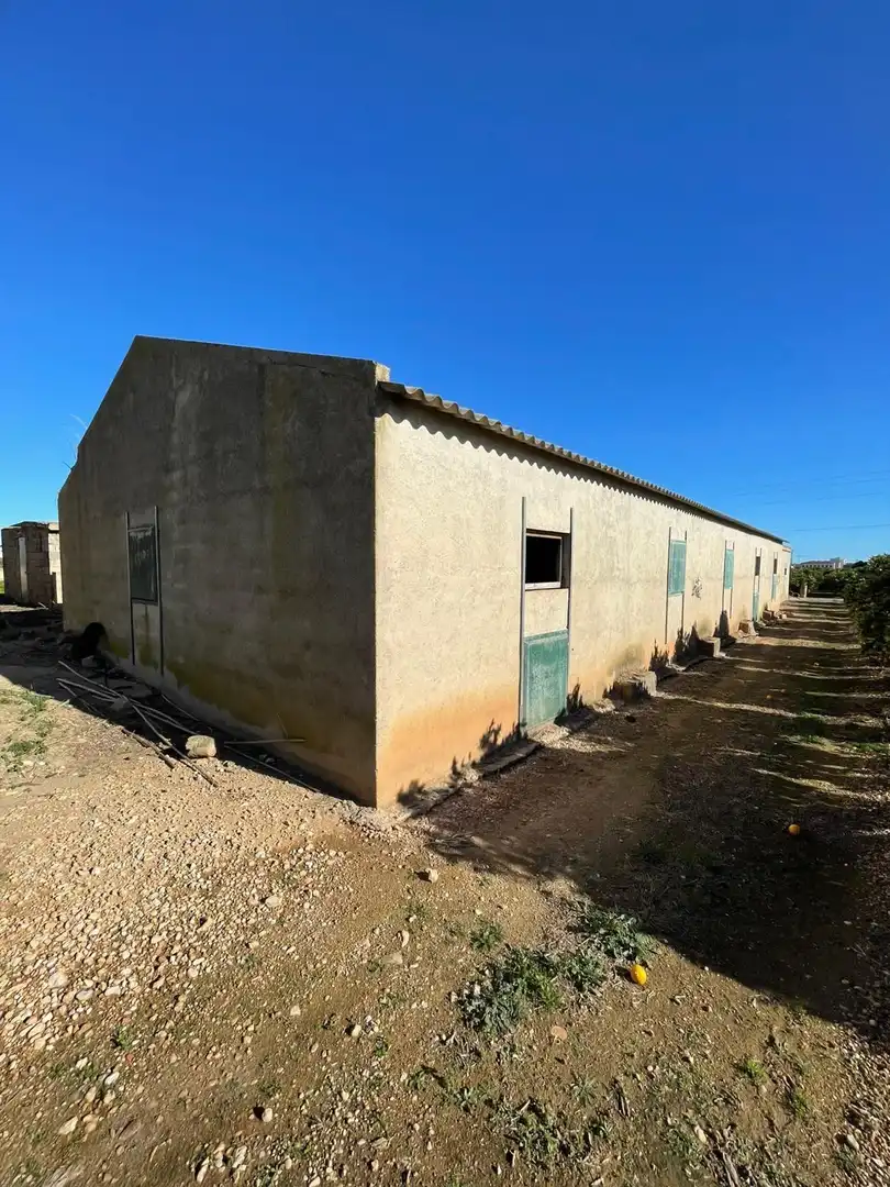 Terreno rustico in vendita a 56 parcela 99 Vistabella, imagen 11