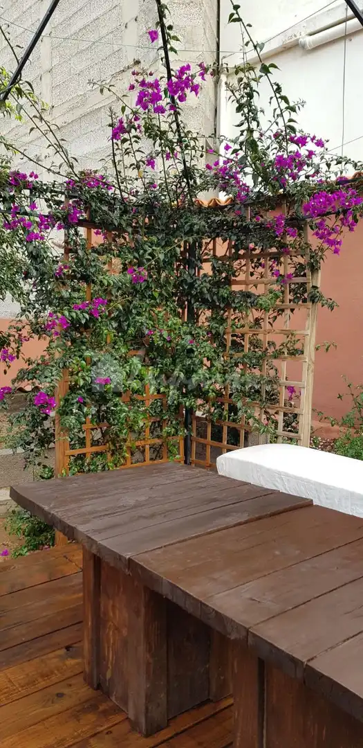 Jardín de Finca rústica en venta en Arona