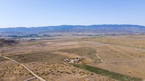Finca de 18 Hectáreas en Tabernas, immagine 3