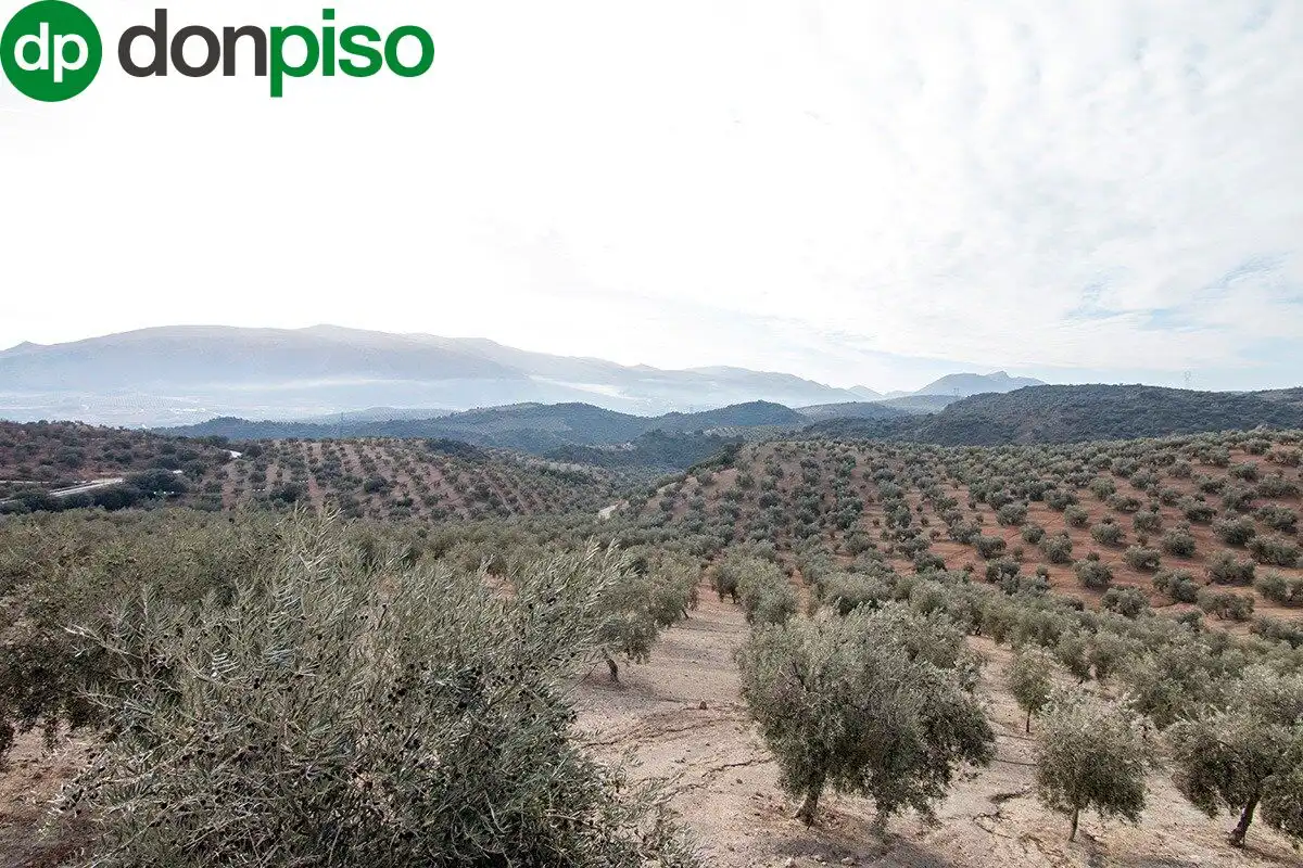 Casa rústica en venda a CORTIJO LA BARRAGANA